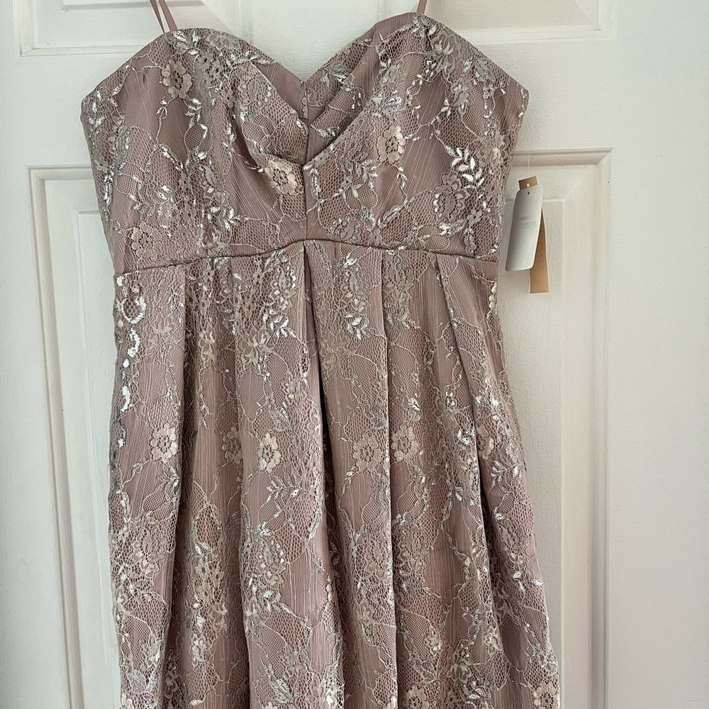 NWT Jill Stuart Studio strapless lacy dress. Can be worn with straps as well.